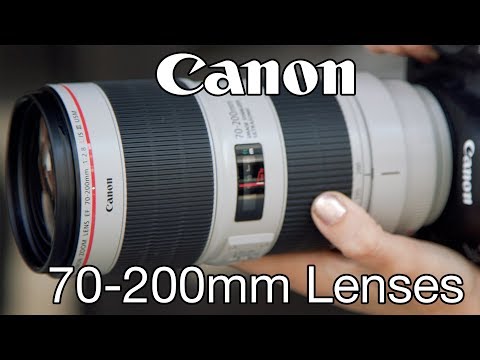 Canon 70-200mm f2.8 &amp; f4 Lenses