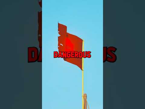 This Flag is