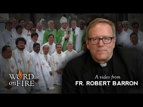 Robert Barron Photo 22