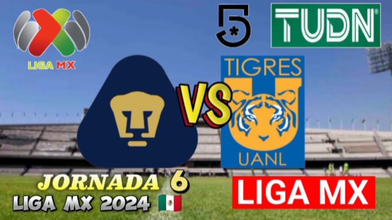 PUMAS VS TIGRES 🔴 JORNADA 6 LIGA MX 2024 🇲🇽 HORARIO Y FECHA DÓNDE VER ...