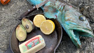 BLUE MEAT Lingcod! catch + COOK ON THE ROCKS