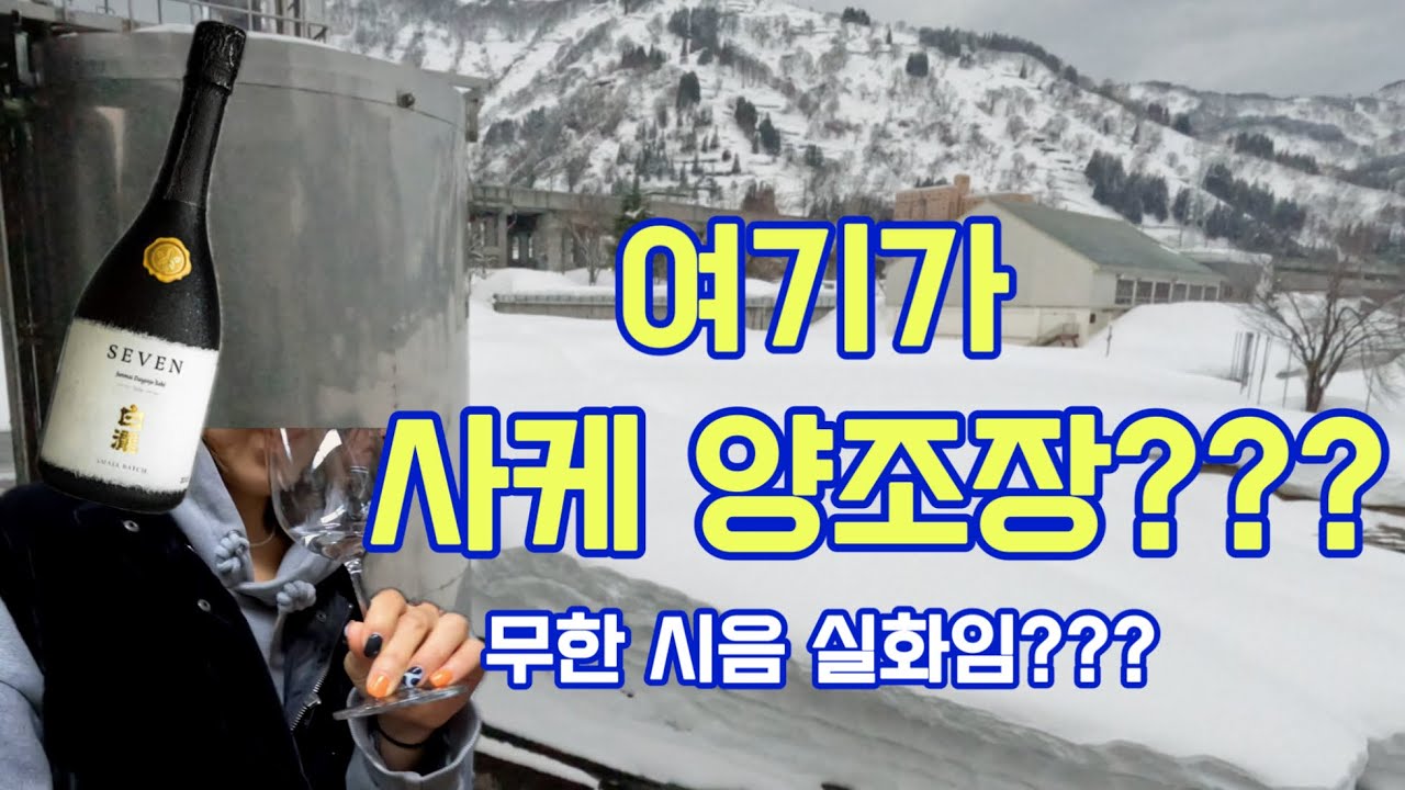 [니가타/vlog ep#1] 사케 어디까지 마셔봤니?!!병아리 사케소믈리에의 사케만을 위한 여행!!(feat.시라타키 양조장)