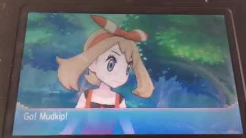 My Mudkip Evolved！