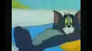 Tom And Jerry Cat Napping 