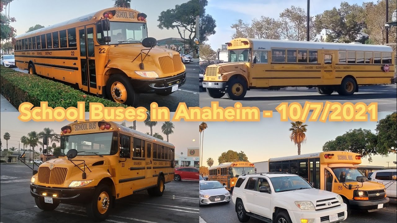 School Buses In Anaheim 10 7 2021 YouTube School Buses In Anaheim 10 7 2021 YouTube