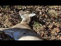 Tagged Out!!!
