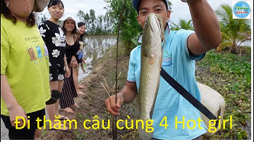717 | Trải nghiệm cắm câu cá lóc mồi nhái P2 | Fishing