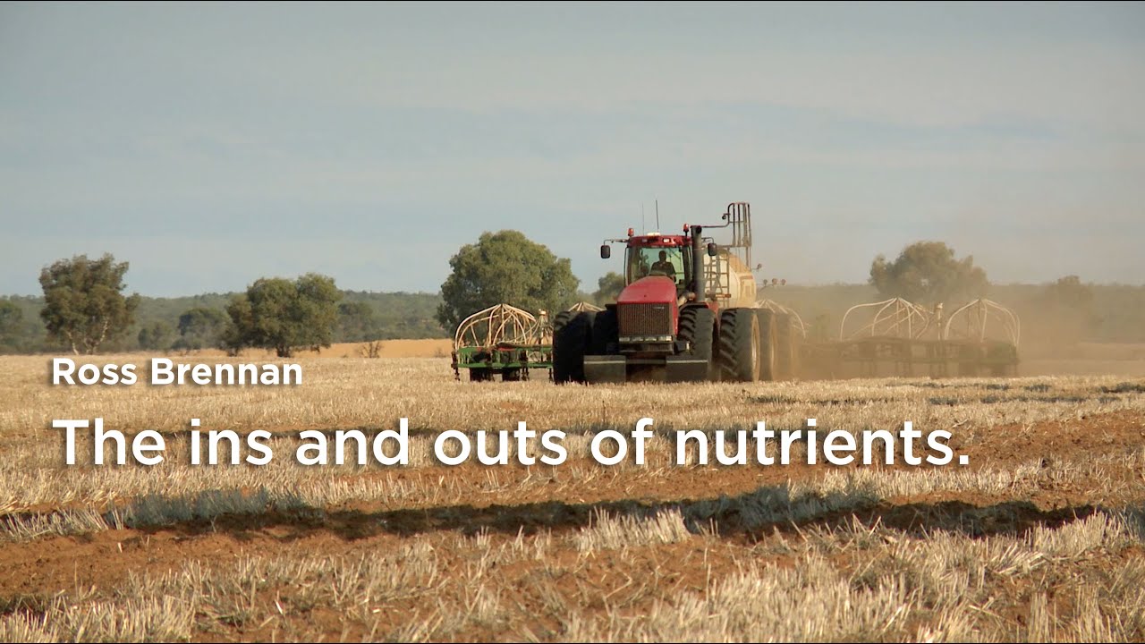 Ross Brennan: Potassium Magnesium Calcium Phosphorus Sulphur Zinc Molybdenum Stratification and more