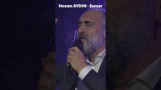 Hozan Aydin - Esmer Resimi