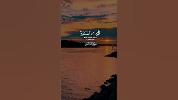 سورة النمل _بتلاوة القارئ ياسر الدوسري 🗣️ 📖🤍/#القرآن_الكريم #quran #راحة_نفسية #fyp #ياسر_الدوسري