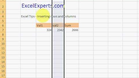 ExcelExperts.com - Excel Tips - Inserting rows and columns