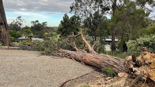 Melbourne Storm Front 2021-Dec 02 - First summer storm of 2021