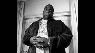 [FREE] Biggie Smalls, Big L, 90s Boom Bap Type Beat 2025 - 'Hook'
