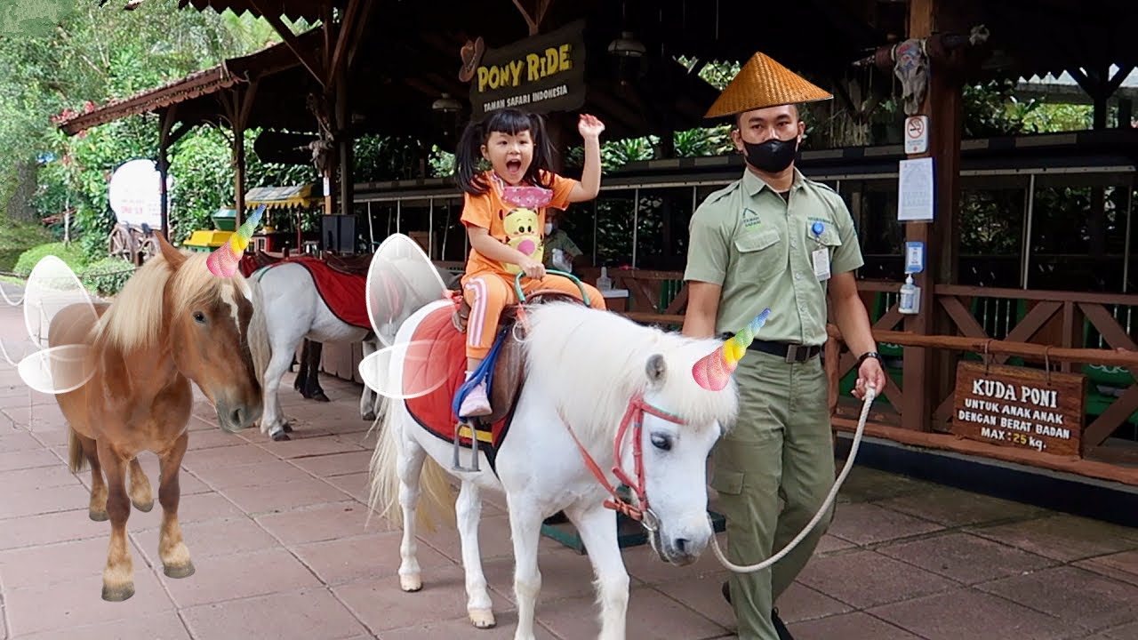 taman safari bogor kuda poni