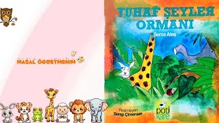 TUHAF ŞEYLER ORMANI 🦒🐘🐆🐿️🐞