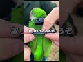 色んな動物にカメラをつけてみた結果が...