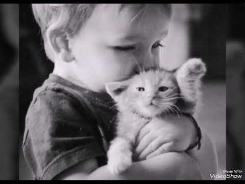 ١٣ مايو ٢٠١٨