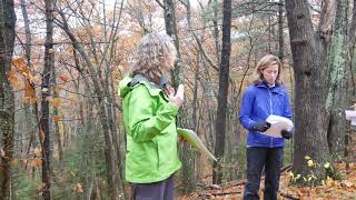 Wellesley students visit local sites to study geology - Part 1 Longfellow Pond.
