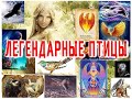 ТОП -10 Легендарных Чудо Птиц / Виктор Максименков