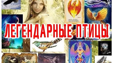 ТОП -10 Легендарных Чудо Птиц / Виктор Максименков