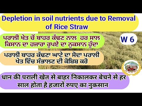 Depletion in soil nutrients by rice straw removal (ਪਰਾਲੀ ਖੇਤ ਵਿੱਚੋ ਬਾਹਰ ਕੱਢਣ ਤੇ ਹਜਾਰਾ ਦਾ ਨੁਕਸਾਨ)