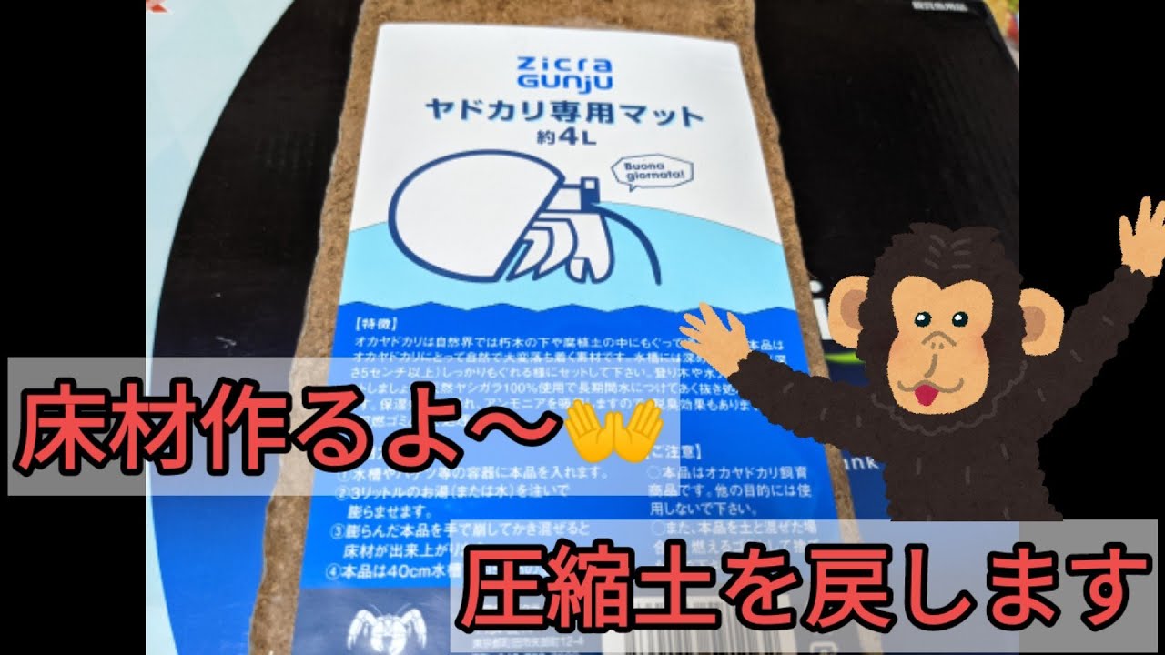ヤドカリさま専用 【公式通販】