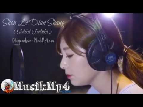 Shou Le Dian Shang   Seammy Zhao Nai Ji  musikmp4