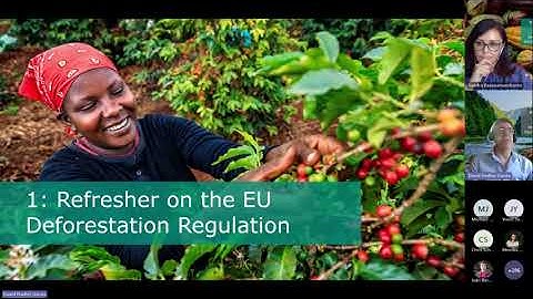 EU Deforestation Regulation  - Exploring latest interpretations