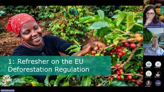 EU Deforestation Regulation  - Exploring latest interpretations