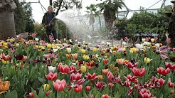 10 tips for gardeners in April from the Eden Project