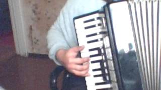 Akordeonas Besame Mucho