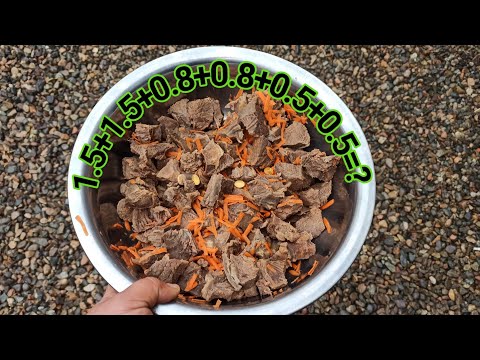 რას აჭმევ შენ ძაღლებს? რამდენჯერ? რა რაოდენობას? ქართული ნაგაზები და ამერიკული პიტბულ ტერიერი