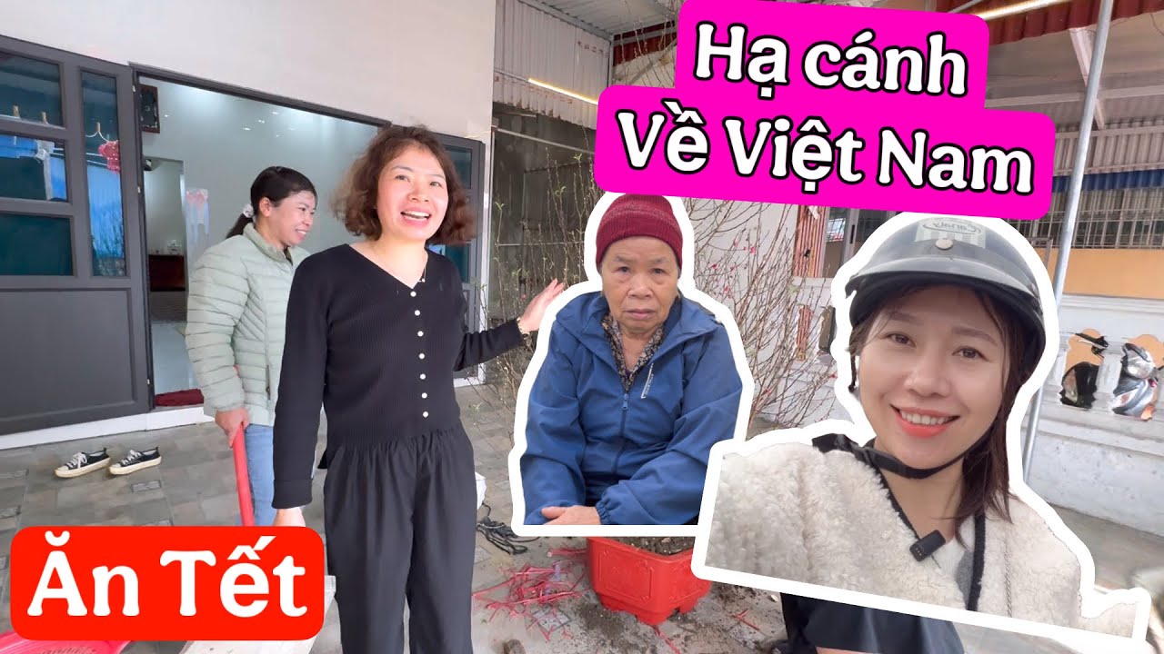 Về Việt Nam Đi Chợ Tết Mua Đào Cho Mẹ🥰