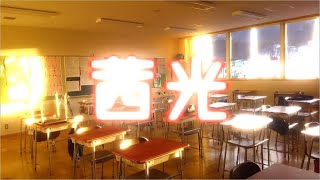 【Original MV】 SENKO (Akane Colored Sunshine) feat.Kasane Teto
