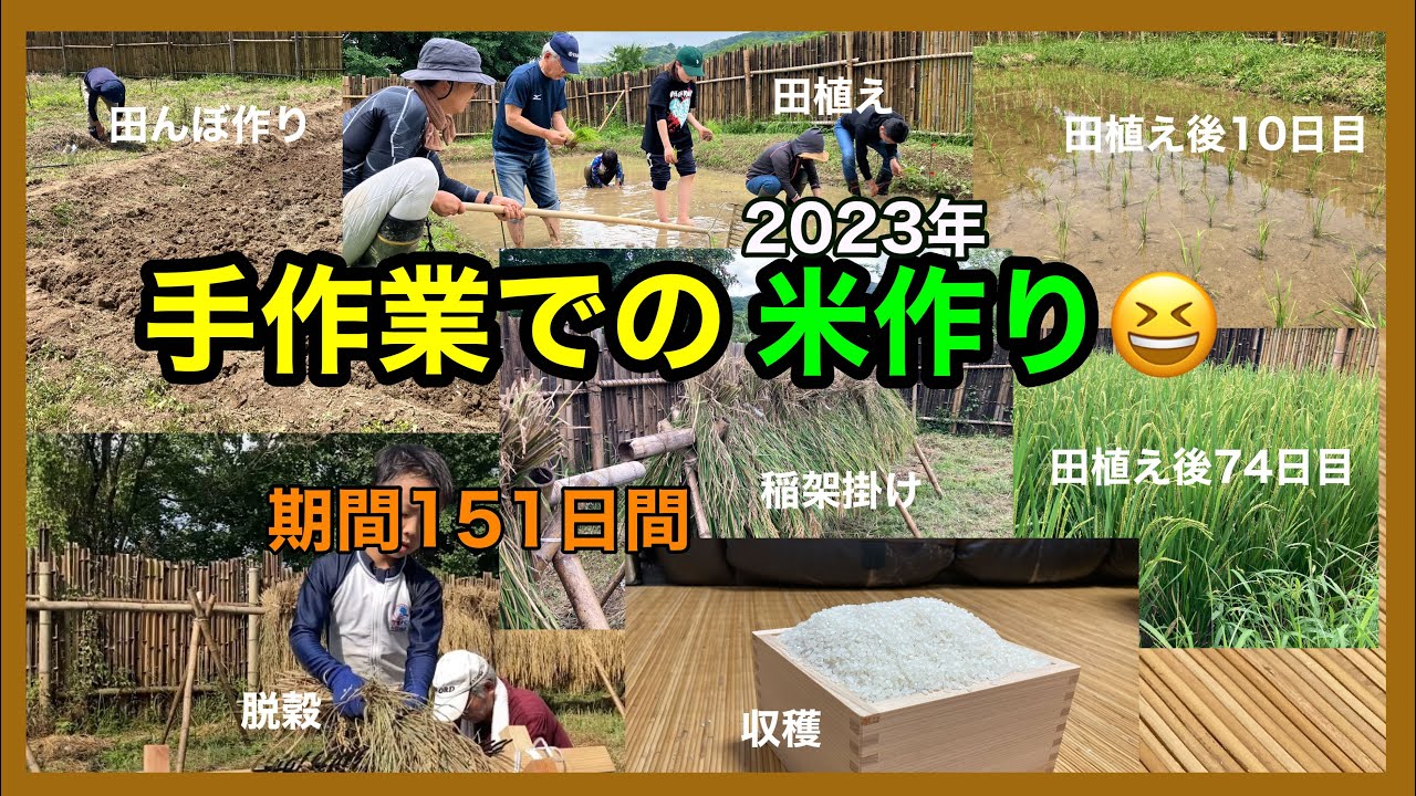 2023年　手作業での米作り😆　田んぼつくりから実食まで（手作業）期間151日【荒地の開墾81】