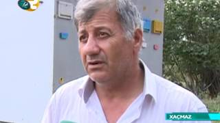 (пчеловодство)Arıçılıq məhsuldar boz qafqaz karpat alman cinsləri (пчеловодство)Arıçılıq məhsuldar boz qafqaz karpat alman cinsləri