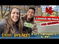 ¡CANADÁ TE PAGA $1000 AL MES SI HACES ESTO! | Para INMIGRANTES y los que tienen una VISA