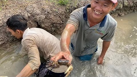 Thục Cua Đồng Làm Món Ngon Lạ Miệng Lai Rai Ngày Mưa | Cù Lao Dung Vlogs #288