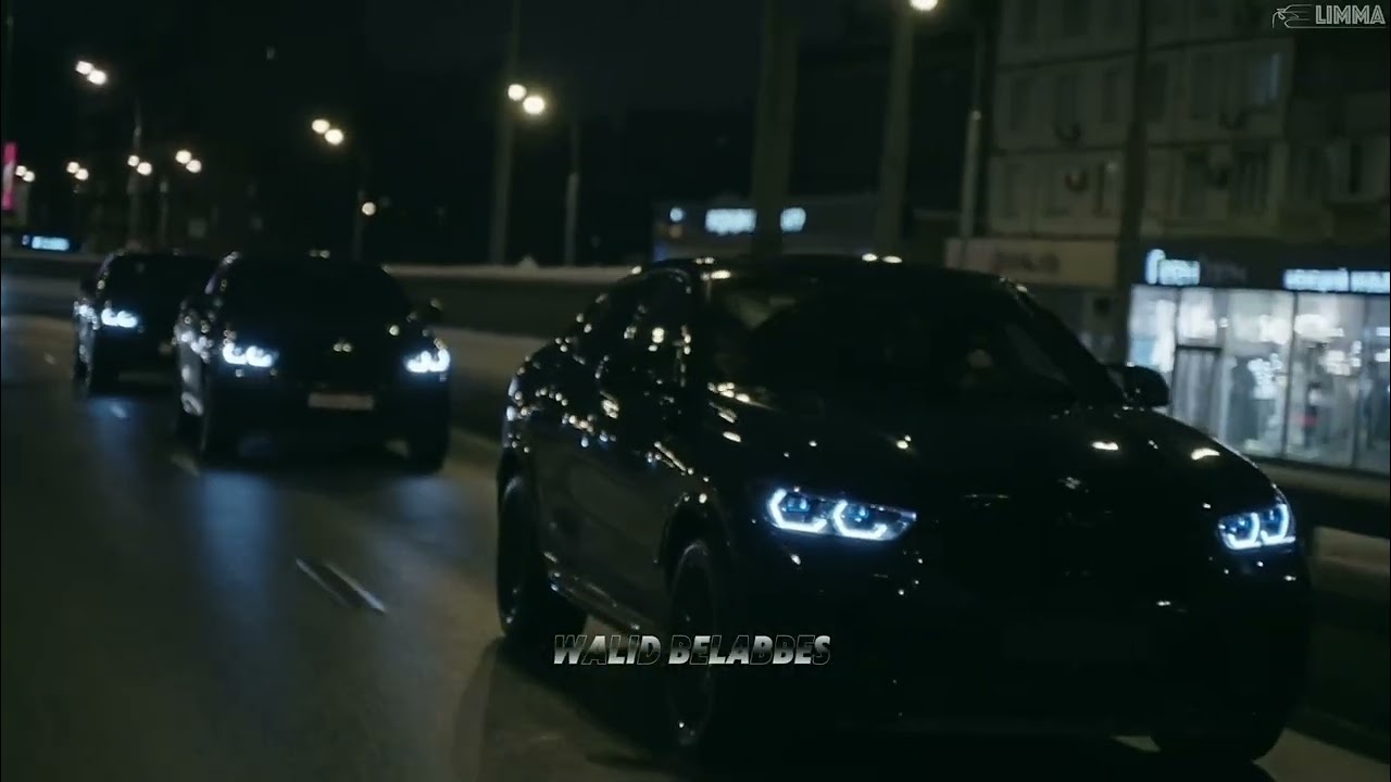 SHADOW PHOENIX - DARK VALLEY 