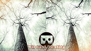 Making Virtual Reality Video with 2 SJCam SJ4000 (3D SBS)