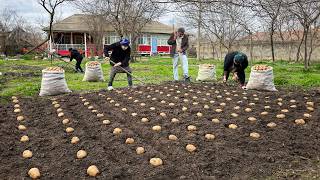 Rose’s Country Homestead
