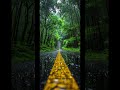 Calm ⛈️ Cozy ambient rain sound for deep sleep. #shorts #rainsounds #sleepmusic #calm #2026