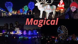 Lincoln Park  Zoolights 2019 | Holidays 2019 Chicago Lincoln Park Zoo Lights 2019