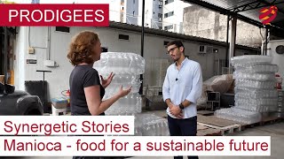 Sustainable and Digital Food Industry in the Amazon Region | Synergetic Stories | PRODIGEES