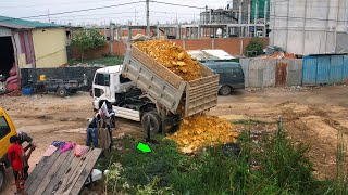 Small New Project!! Dozer D20P & Truck 5T push rock stone clearing muddy siol on messy place