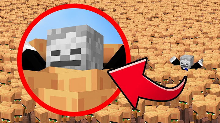 1,000,000 Villagers Play HIDE & SEEK
