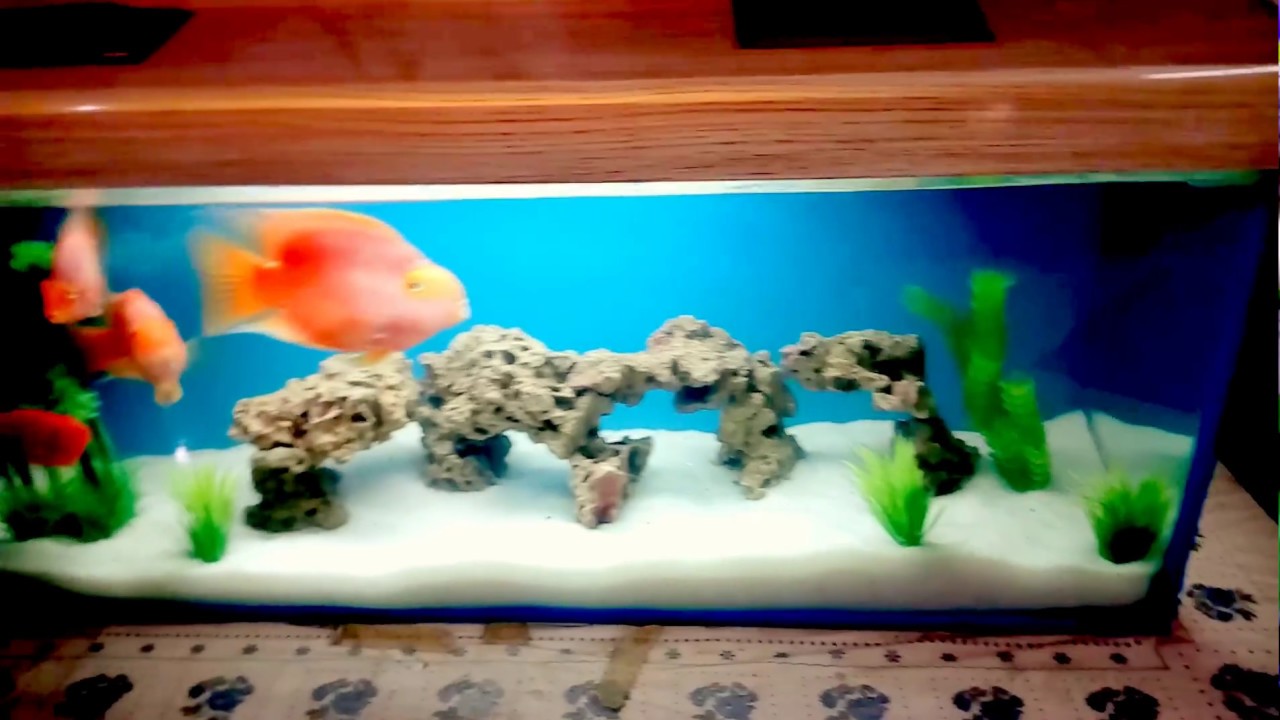 Aquarium Slate Fish Tank Stone Decoration For Caves Shelters WHITE SLATE |  eBay