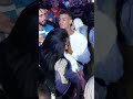 وشطحة هده عملت هد البنت على اغنية شعبية وشطحة هده عملت هد البنت على اغنية شعبية