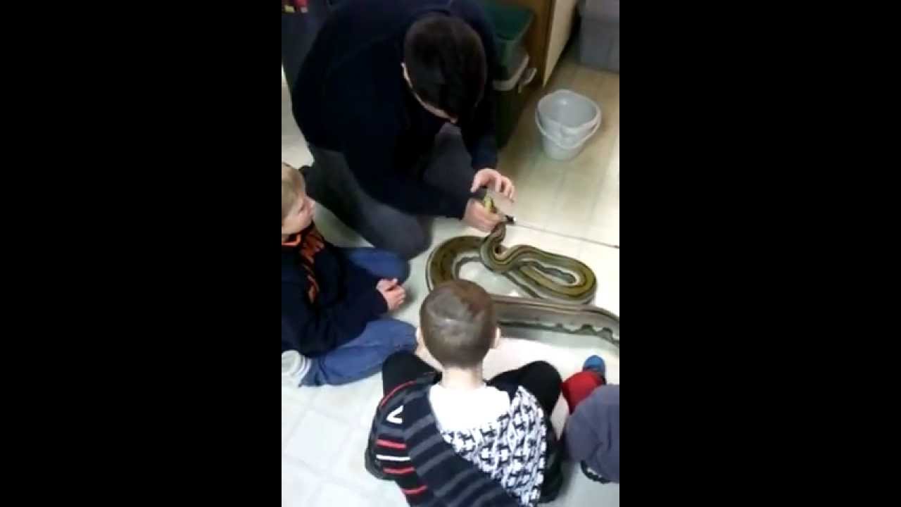 video phone beyonce mp3 Little Kids with Retics!!!
