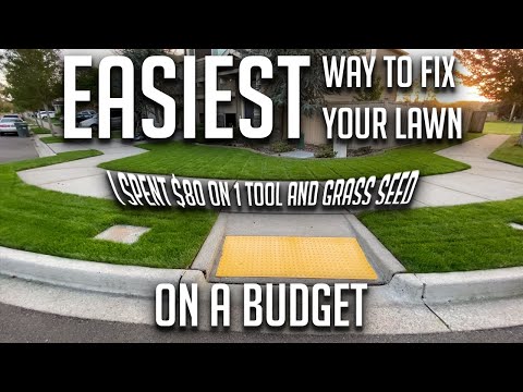 Easiest way to fix your lawn ON A BUDGET - 3 steps - I spent $80 on 1 tool and grass seed - overseed hqdefault